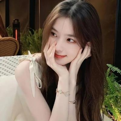 布里斯比熊